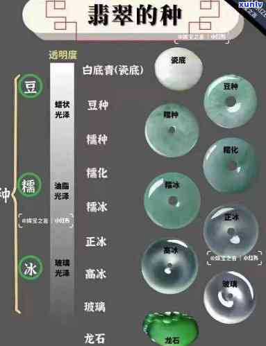 翡翠黄加绿老坑：价值、鉴别与选购指南