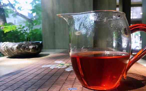 普洱雨水茶的含义、种类及品饮 *** ：一篇全面解析