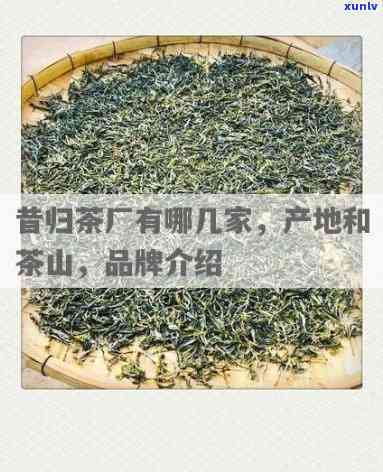 即溶茶的功效：揭示其作用与好处