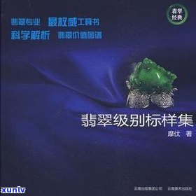 学翡翠看什么书，翡翠学习指南：推荐几本必读书籍