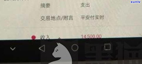 平安普贷款还不上会不会被起诉，平安普贷款逾期不还：可能面临法律诉讼风险