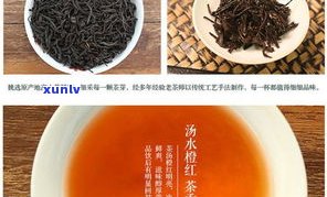 陕西特产红茶：种类、特点及推荐