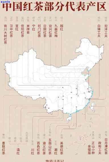 中国红茶产地哪里最多？详析全国各地红茶产量及分布