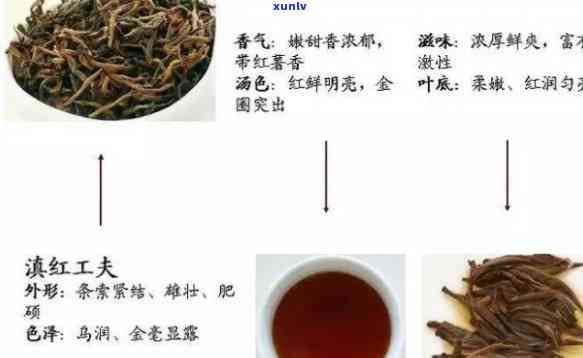 中国红茶的起源，探秘中国红茶的起源：一历悠久的故事