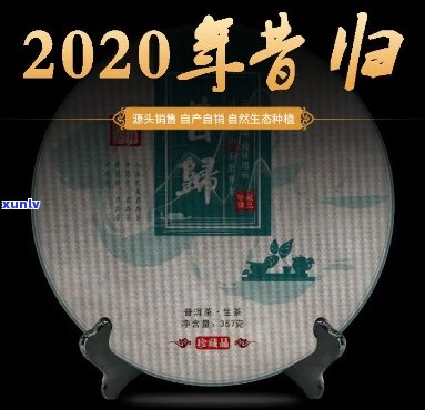 昔归普洱生茶202-昔归普洱生茶2022