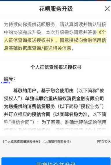 网商贷逾期支付宝上诉流程，怎样应对网商贷逾期：支付宝的上诉流程详解