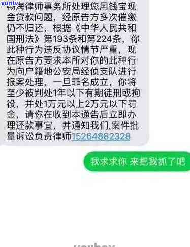 网商贷逾期真的会起诉吗？详解可能的法律结果与应对策略