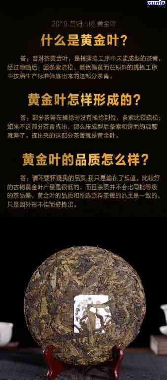 昔归黄金叶生茶：功效全面解析与评价