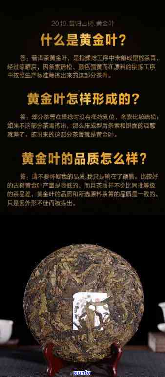 昔归黄金叶生茶：功效全面解析与评价