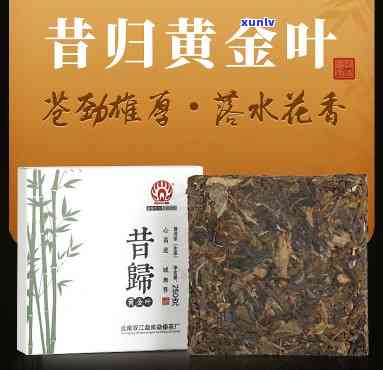 昔归黄金叶毛茶价格-昔归黄金叶茶的功效