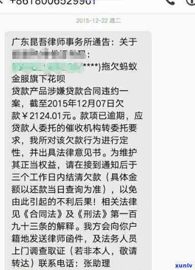 杏花与普洱茶的奇妙组合：解密双重功效，品茗养生新境界