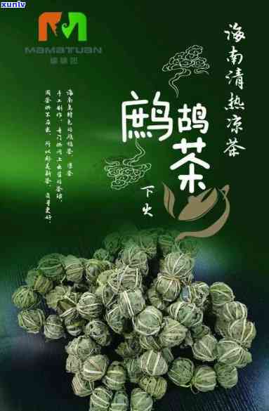 鹧鸪茶是热性还是凉性，探秘鹧鸪茶的属性：它是热性还是凉性？