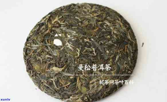 班章和曼松茶哪个好-曼松和班章哪种好