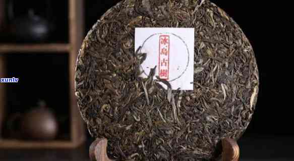 普洱茶-普洱茶启英