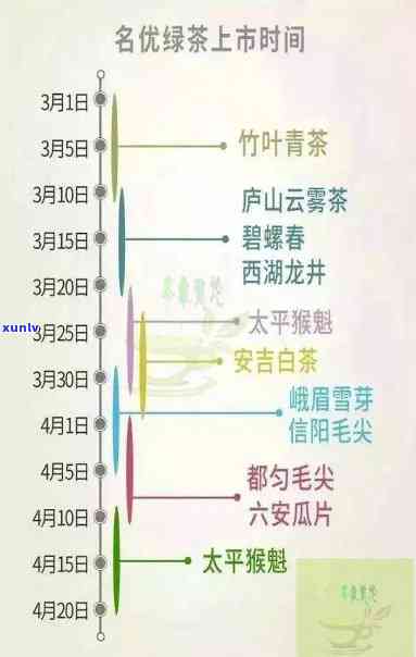 曼松茶采摘时间表：详细记录每个时期的采茶时间