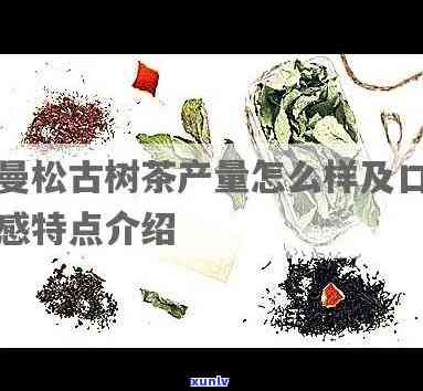 曼松茶推荐：哪个口感更胜一筹？