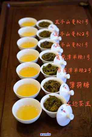 曼松单株茶品种图片大全，探索独特口感：曼松单株茶品种图片大全