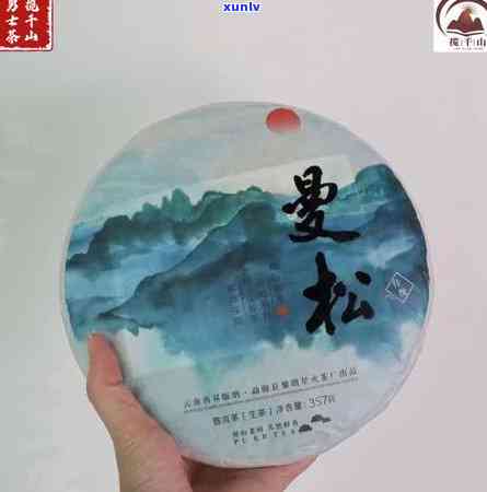 曼松单株茶品种图片-曼松单株茶品种图片大全