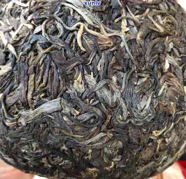 2012年曼松熟茶-曼松熟茶的特点