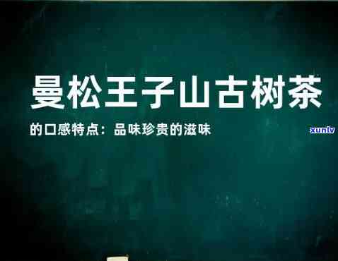 曼松王子山古树茶产区和价格详解：口感特点与产地介绍