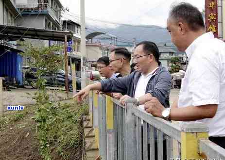 云南勐海曼松茶产地是哪里，探寻茶叶之旅：揭秘云南勐海曼松茶的产地来源