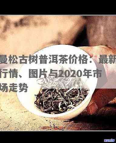 曼松小树茶今年价格-曼松小树茶今年价格多少