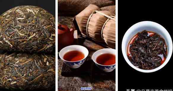 曼松沱茶属于什么茶-曼松沱茶属于什么茶类