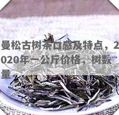 2020年曼松古树茶价格及口感特点解析