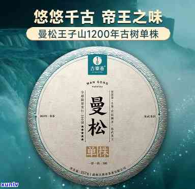 曼松古树茶2023价格，2023年最新曼松古树茶价格公布，收藏家必看！