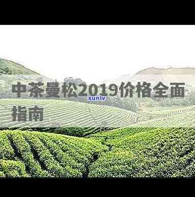 2019年曼松贡茶-2019年曼松贡茶价格