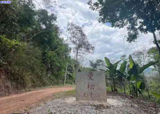 曼松茶区有哪些山头村，揭秘曼松茶区：那些你不可错过的山头村