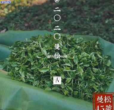 河南曼松茶批发厂家-河南曼松茶批发厂家 *** 