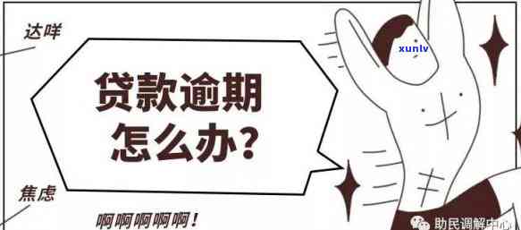 银行贷款多久不还会被起诉成功，逾期多长时间？——探讨银行贷款未还被起诉的成功概率