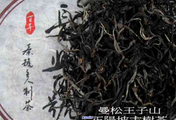 曼松古树茶产区分布-曼松古树茶产区分布图