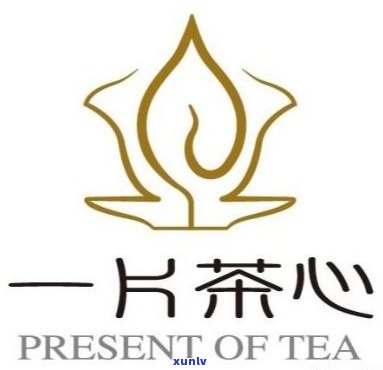 一片茶心是什么茶，「一片茶心」究竟是什么茶叶？探究其来历与特色