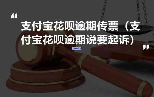 勐海沱茶厂的普洱怎么样？口感如何？产品种类及官网信息一探究竟！