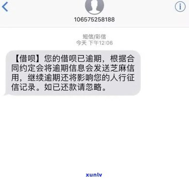 支付宝借呗逾期起诉怎样应诉，应对支付宝借呗逾期起诉：全面指南与策略