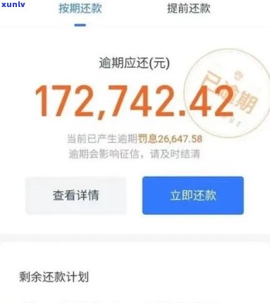 支付宝借呗逾期起诉怎样应诉，应对支付宝借呗逾期起诉：全面指南与策略