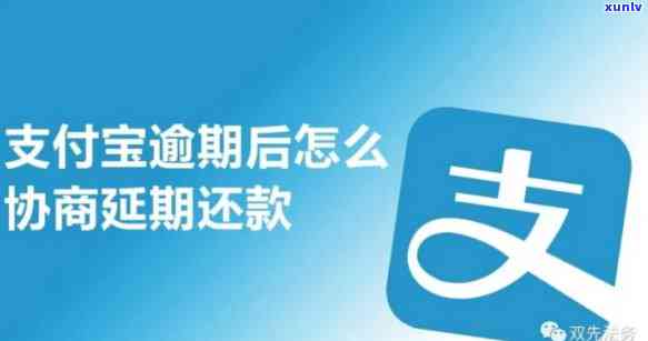 支付宝借呗逾期起诉怎样应诉，应对支付宝借呗逾期起诉：全面指南与策略