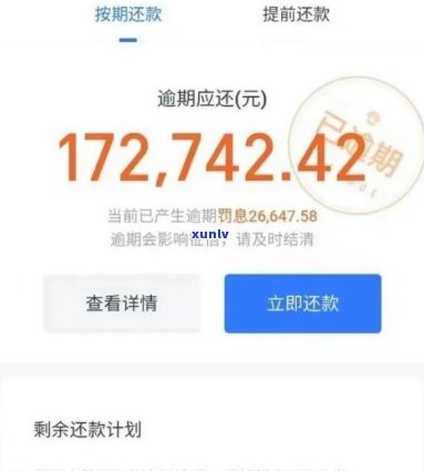 兴业银行逾期会起诉吗？逾期后果、处理方式及费用全解析