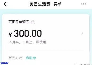 支付宝花呗300逾期起诉会怎么样，支付宝花呗逾期300元，可能会面临诉讼风险！