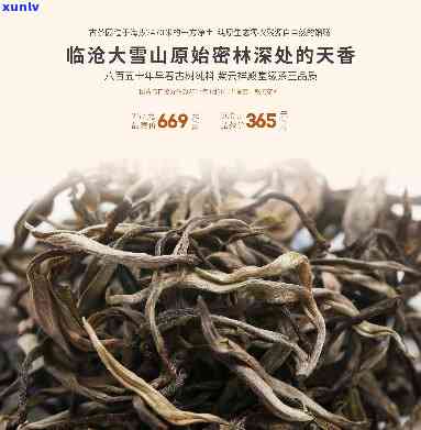 糯米香的茶叶有哪些-糯米香的茶叶有哪些品种