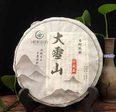 勐库大雪山茶厂怎么样？全面评价与分析