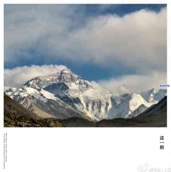 邦马大雪山普洱茶价格，邦马大雪山普洱茶市场价格行情分析