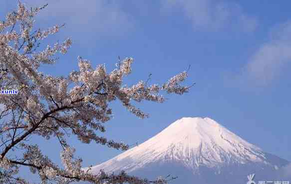 云南大雪山茶简介：揭秘勐库与邦东两大雪山产区及优质茶叶