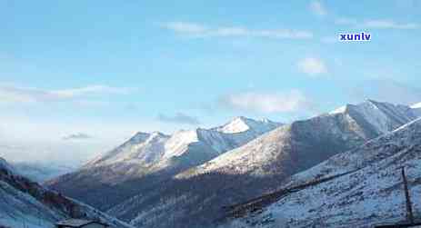 大雪山茶叶场-大雪山茶叶场地址