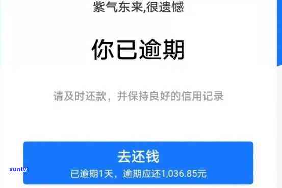 欠信用卡二十多万-欠信用卡二十多万 没能力还款怎么办