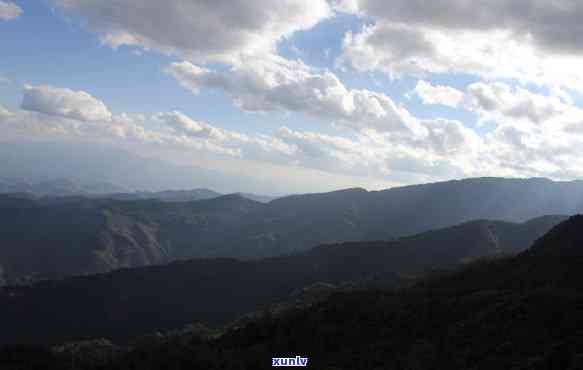 勐库大雪山茶叶，探秘云南勐库大雪山，品味顶级茶叶的独特魅力