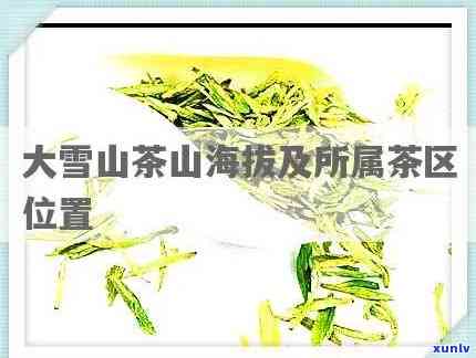 大雪山茶不适合存放什么，禁忌事：大雪山茶不宜与哪些物品一同存放？