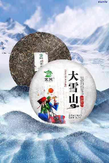 大雪山茶口感，探索大雪山茶的独特口感：一次味蕾的极致享受